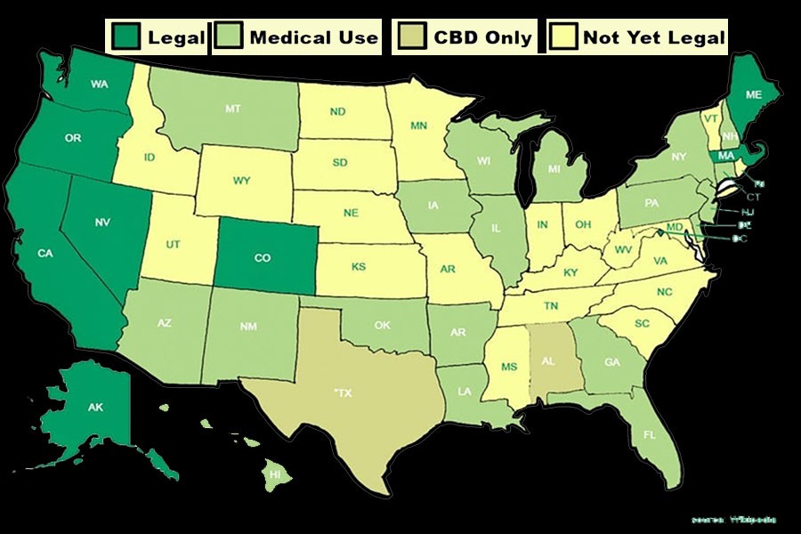 cannabis