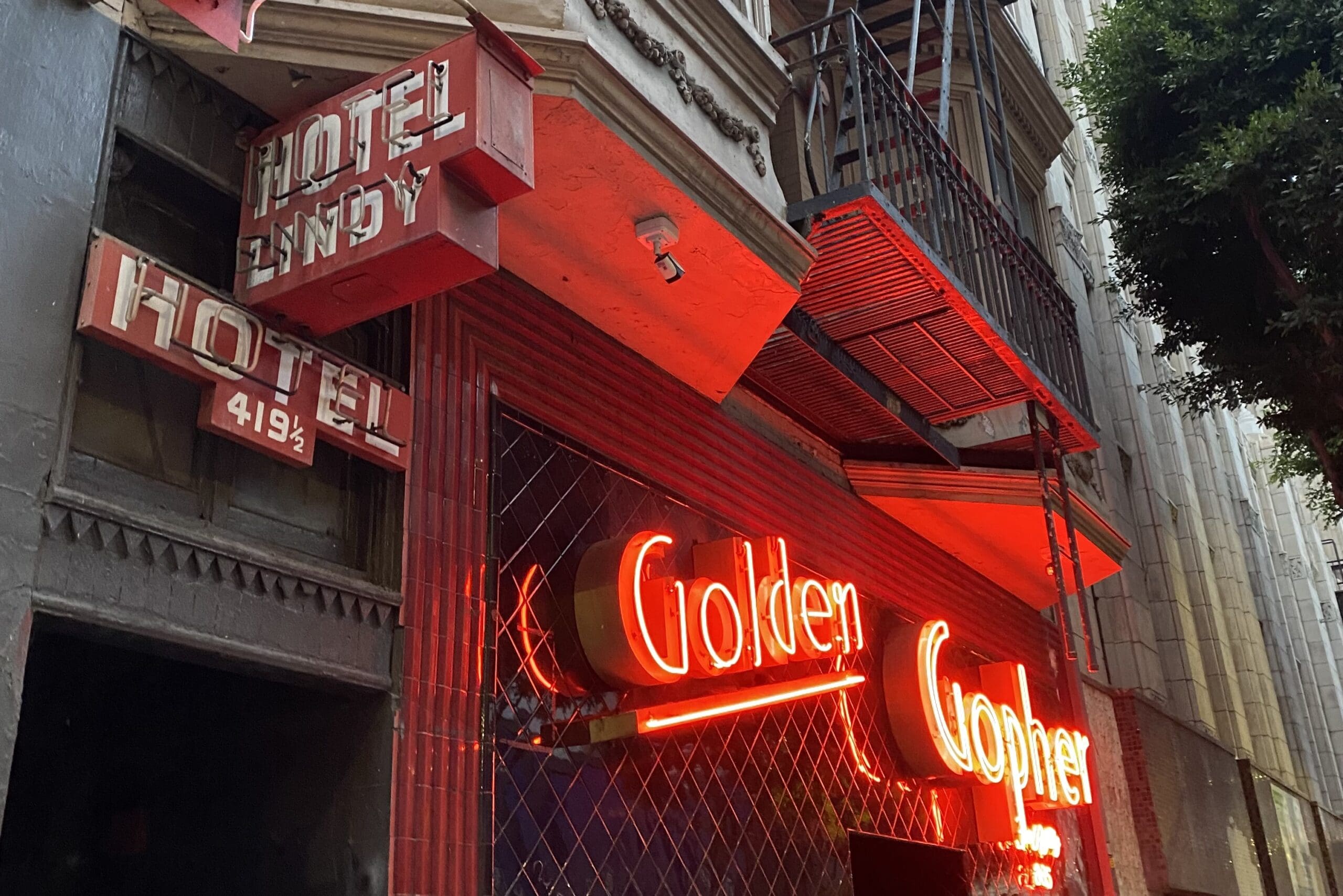 Golden gopher dtla