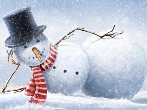 Winterwonerland