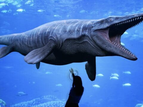 Dinos alive