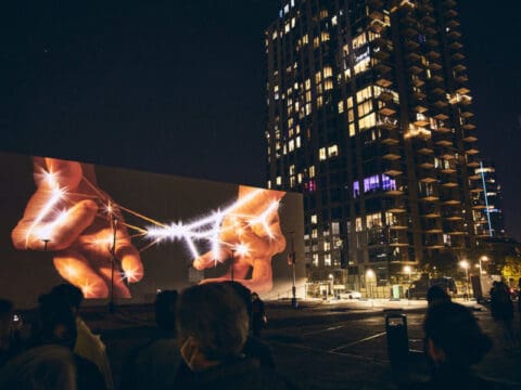 Luminex 2
