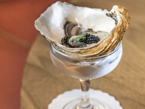 Lonely oyster