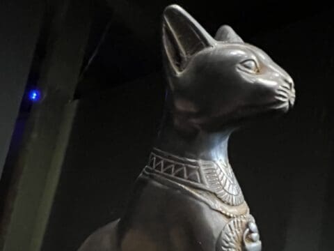 King tut