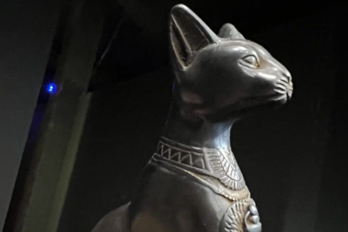 King tut