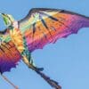 Kite fest