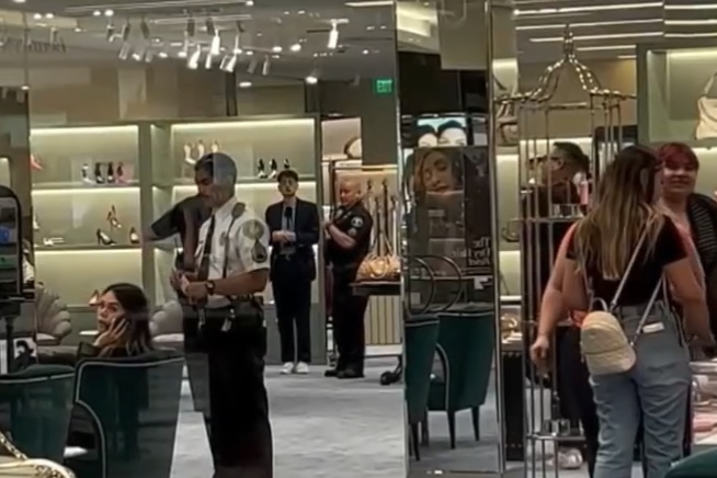 Smash and Grab Robberies & the New Task Force: What the County Can Learn from Downtown LA 