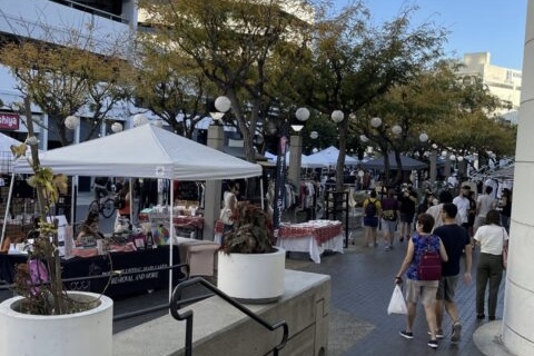 Little Tokyo Street Fair Returns with Spring Bringing a Full Day of Energy, Tradition and Expression