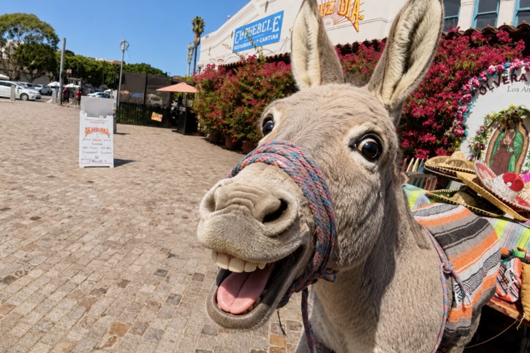 #SurvivingDTLA: Can Anything Save Olvera Street?