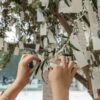 Final Days to Make a Wish with Yoko Ono at The Broad